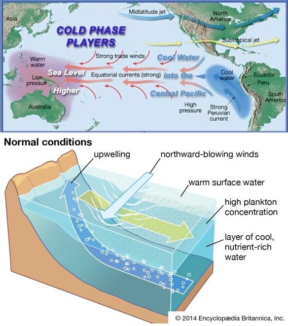 El Nino Current during Normal Year