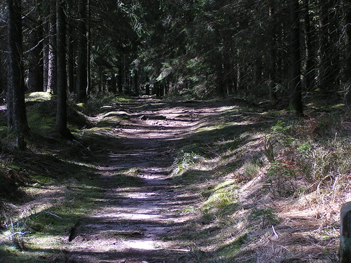deutschland schwarzwald jakobsweg caminosantiago badenwürttenberg