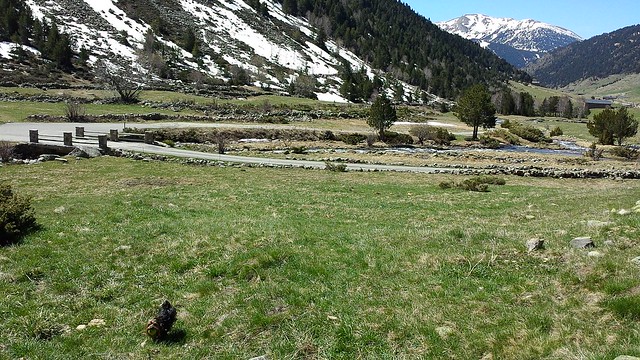 VALL D'INCLES 009