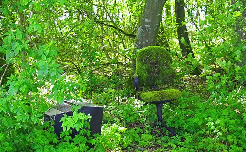 bridge abandoned television river office tv moss chair woods bradford dale hiking district seat derbyshire peak olympus micro 75300 alport 43 lathkill 1442 openairoffice youlegrave olympusm1442mmf3556iir epl5