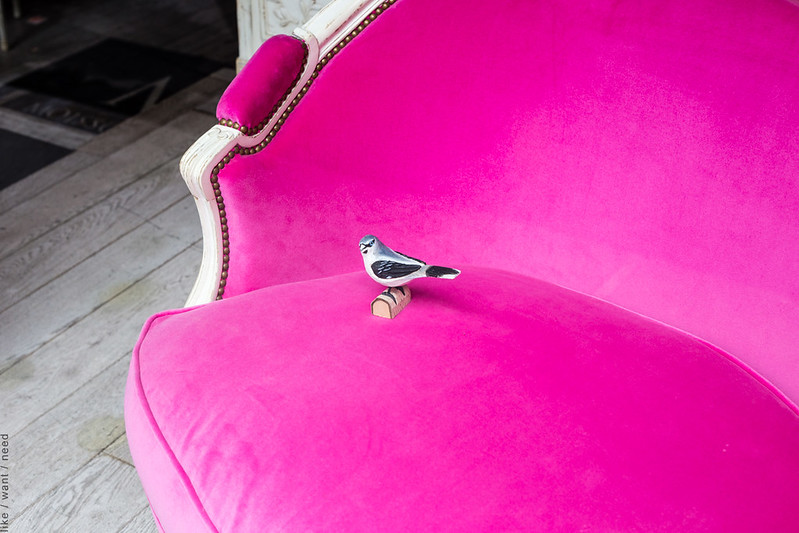 Pink Couch & Petit Oiseau