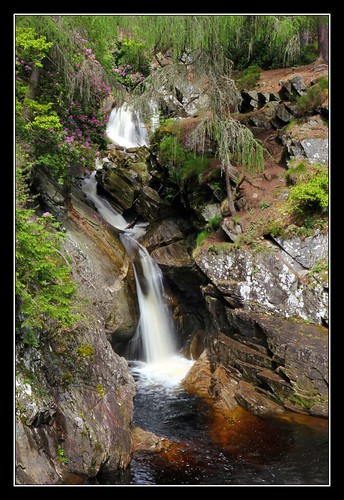 plants woodland river waterfall rocks gorge blairatholl lowerbridge bruar fallsofbruar perthkinross bruarwater