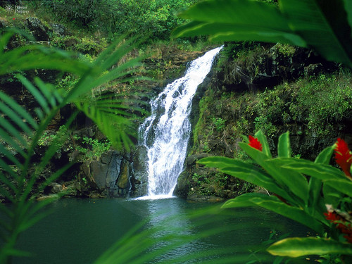 Waimea Falls, Oahu, Hawaii