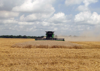 Picture of a harvester in a field