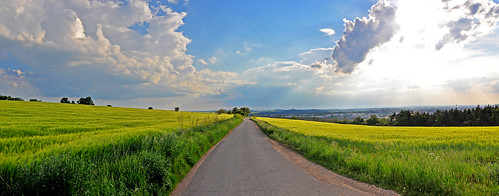 road summer field yellow countryside czech wheat pilsen bohemia cechy centraleurope mitteleuropa cesko boehmen