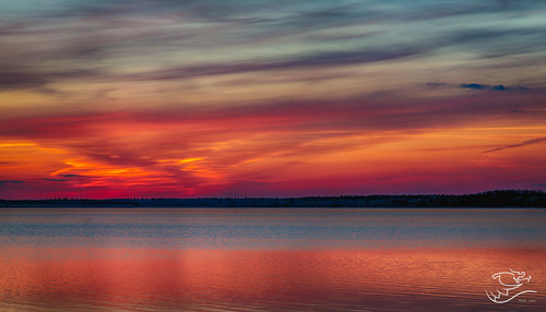 sunset orange canada water skyscape landscape lakes alberta cookinglake drewmayphotography