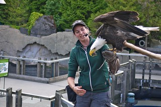 Birds Up Close | Vancouver Aquarium