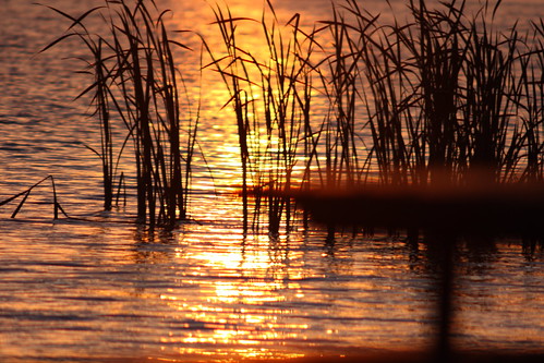 sunset newzealand lake reflection hamilton 400mm soligor