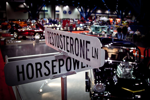 testosterone & horsepower