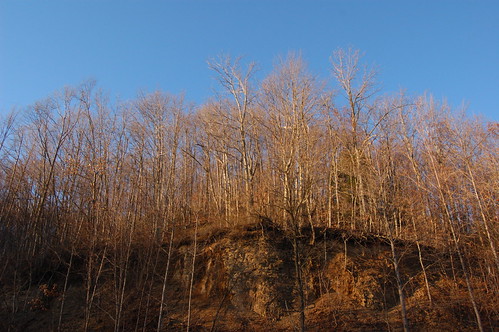 sunset tree rock day hill clear westvirginia