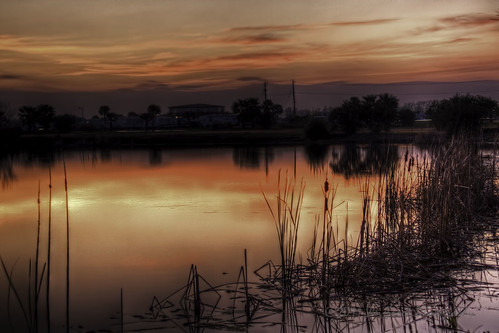 sunset reflection water texas cattails dickinson