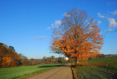autumn color fall landscape pennsylvania southwesternpennsylvania