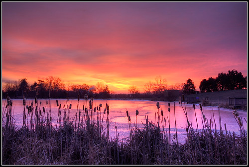 pink sky brown reflection colors yellow sunrise gold virginia frozen pond purple silhouettes cattails hdr franklinpark purcellville tokina1224mm