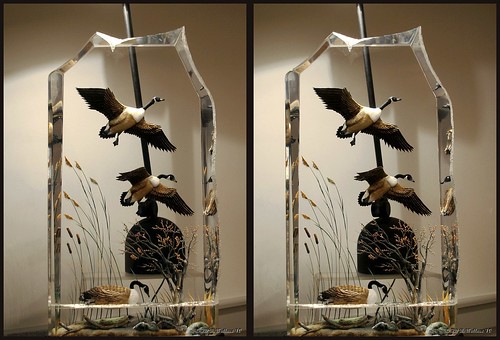 sculpture detail art nature geese stereoscopic stereogram 3d crosseye md gallery brian fine maryland carving indoors stereo wallace inside stereopair sidebyside depth easton stereoscopy acrilic stereographic ewf freeview brianwallace xview stereoimage xeye stereopicture crosssview