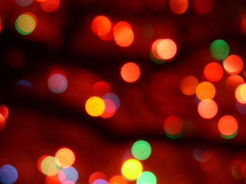 trees light shadow holiday abstract tree lights treesilhouette branch dof bright bokeh branches smooth christmaslights depthoffield foliage round multicolored depth multicolor silky shadowy smoothbokeh bokehlicious silkybokeh roundbokeh