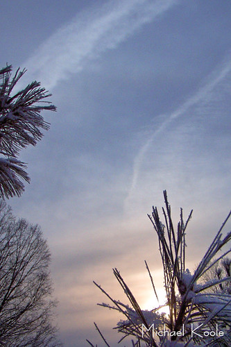 winter sky clouds sunrise michael frost michigan branches january olympus webs westmichigan kentcounty c720 townsendpark koole michaelkoole 2011365