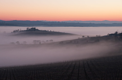 mist sunrise landscape dawn countryside nikon alba sigma campagna vineyards tuscany siena toscana 1770 nebbia paesaggio d90 vigneti