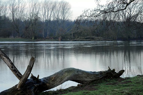 lingen germany deutschland niedersachsen allemagne alemania germania германия ems fluss river rivière rio поток fiume stream emsland wasser eems