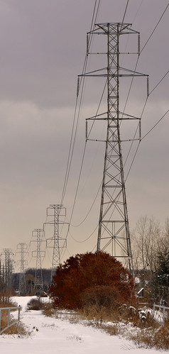 grid power utility electricity transmission distribution becommingpartofthelandscape