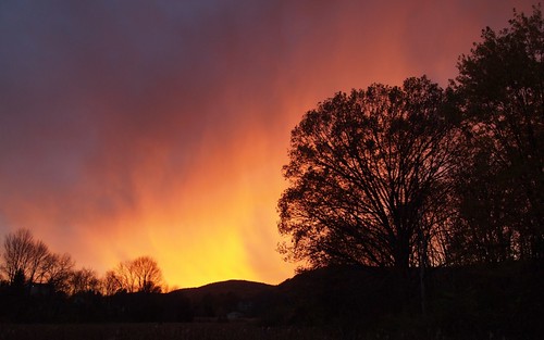 sunset tree trail appalachian