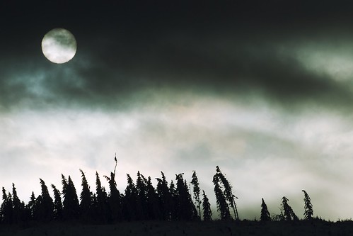 schnee winter wolken sonne schatten ilmenau lindenberg thüringen bäume ef70300mmf456lisusm