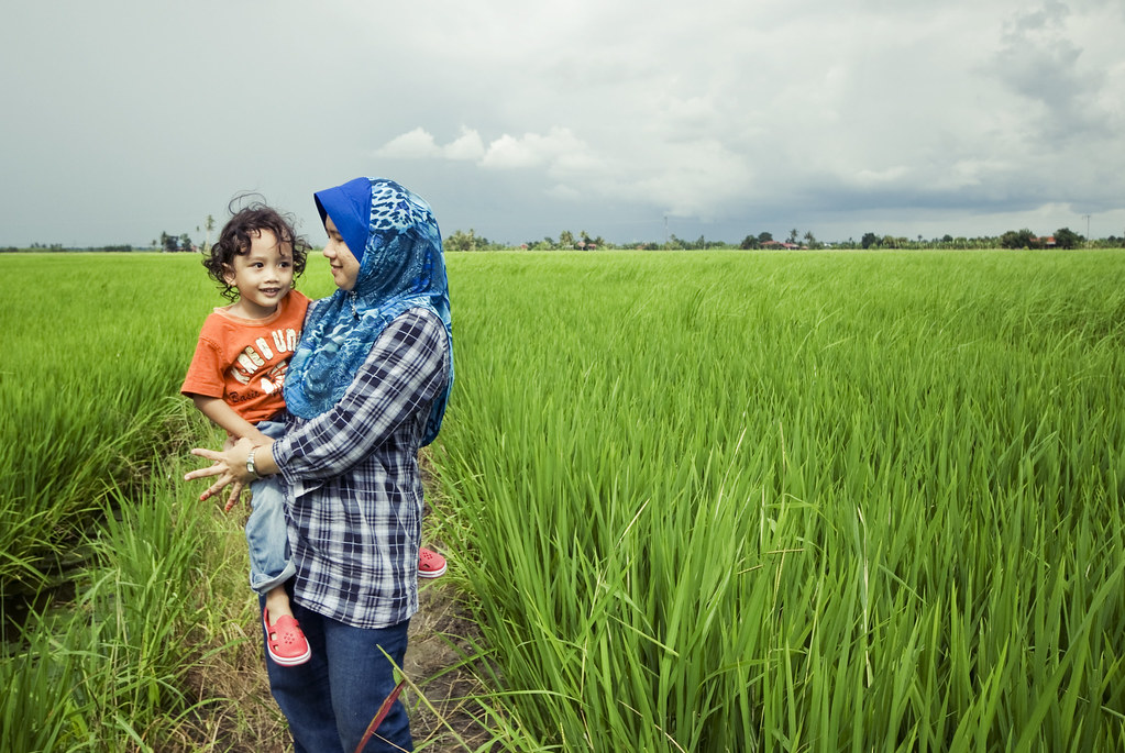 Mother and Son | Sungai Besar Rice Filed | Selangor