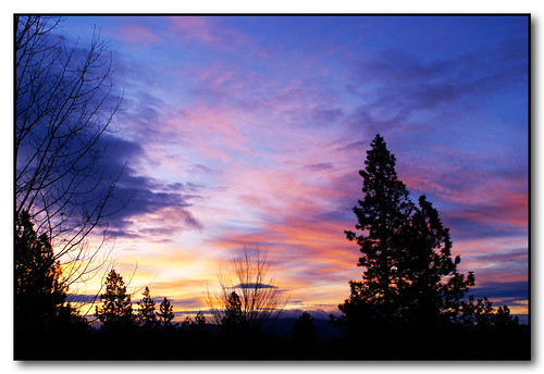 trees winter colors clouds sunrise washington spokane silhouettes
