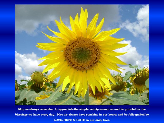2011 New Year Resolutions :  Photo-Poster of Bright & Cheerful Sunflower of La Brande, France