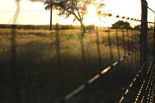 sunset fence texas backlit fenceline