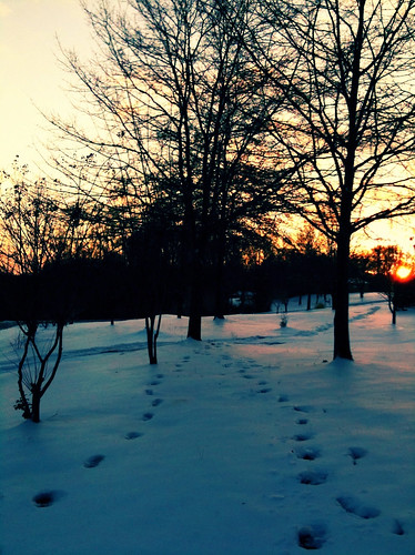 sunset sc outdoors snowday iphone