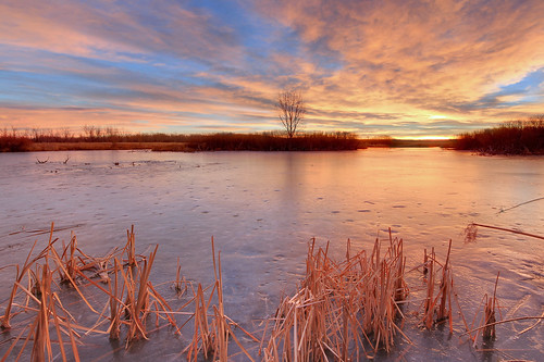 ice sunrise reeds landscape dawn colorado denver aurora cherrycreekstatepark