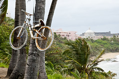 Bike in Tree
