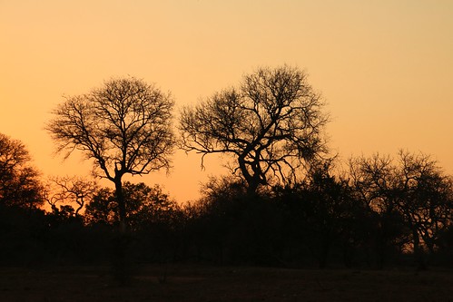 africa southernafrica sunset