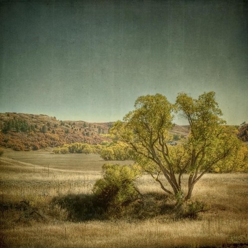 autumn trees fall square landscape golden colorado hdr resevoir textured castlewoodcanyon caono texturesquared t1i