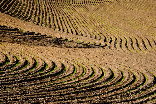 abstract field washington pattern ground roadtrip dirt crop palouse ttt teardroptrailertour