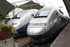TGV at Gare de Lyon, Paris