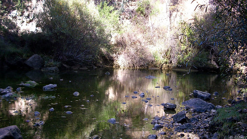 trees españa water río river dc spain agua rocks árboles random rocas “benq e720”