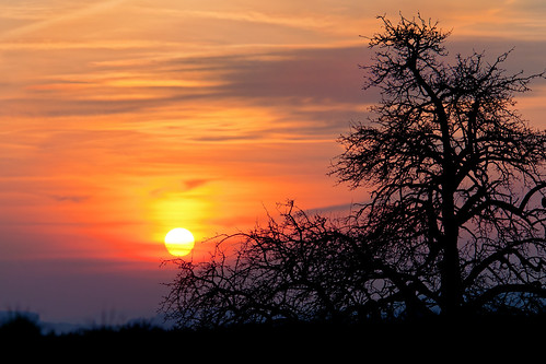 sunset sky orange sun tree silhouette yellow clouds landscape switzerland nikon scenery view hills gossau d300 grüt
