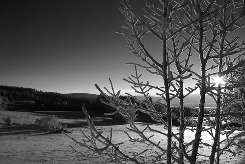 winter sunset bw snow black cold country whote