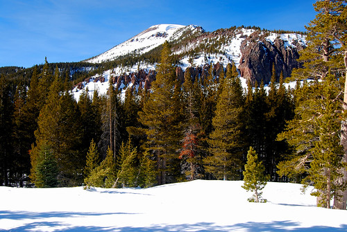 california winter mountains nature landscapes hiking pines mammothlakes scenics easternsierra
