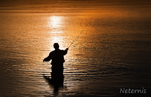 sunset shadow sea orange sun lake fish man black reflection water silhouette contrast dark person mirror golden fly fishing waves angle outdoor flyfishing ripples outline chiemsee backlighting angling