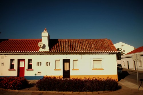 flowers blue houses windows red white portugal yellow nice colorful sunny lovely alentejo sines colorfulhouse portuguesehouse robokow