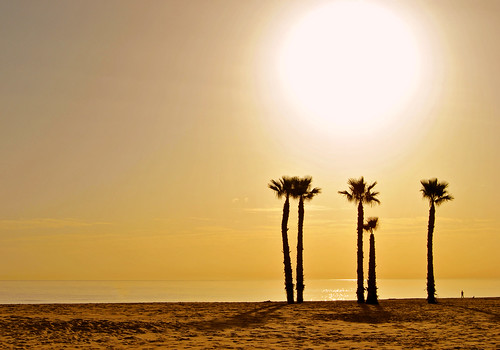 sunset sea españa sun sol beach mar spain sand nikon playa arena alicante puestadelsol d3000 gettyiberiasummer