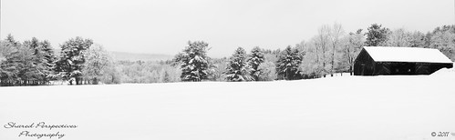 trees winter panorama snow field barn maine alfredmaine bhphotocoldcontest