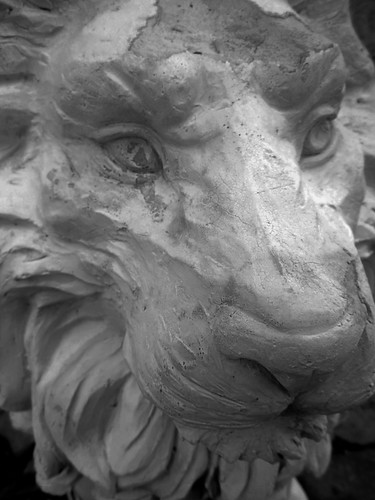 old blackandwhite bw music animal statue march lyrics king song lion jungle sing weathered tune lionking thelionsleepstonight 365project 69365 awimoweh 2011inphotos ayearjourney