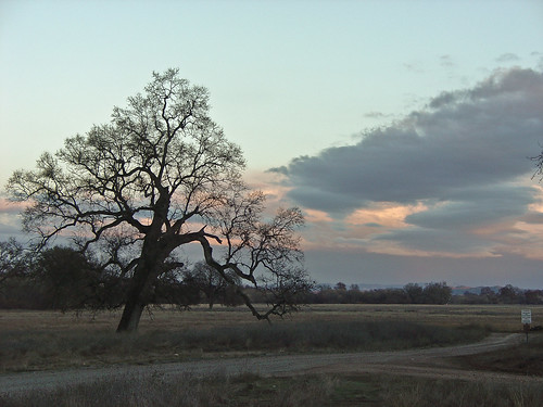 california ca trees sunset sky field sanantonio tramonto shadows dirtroad albero baretree sanluisobispocounty nubi sanantoniomission sagoma