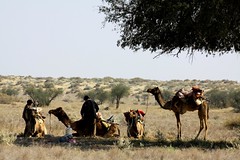 jaisalmer desert safari