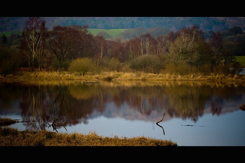 new water scotland ken hide dee galloway marshes