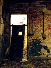 Abandoned Door 1
