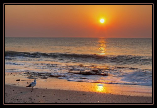 ocean sun beach sunrise canon nc waves seagull northcarolina hdr photomatix tonemapped hdraddicted coquinarocks